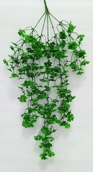 Four Leaf Clover Creeper X81
